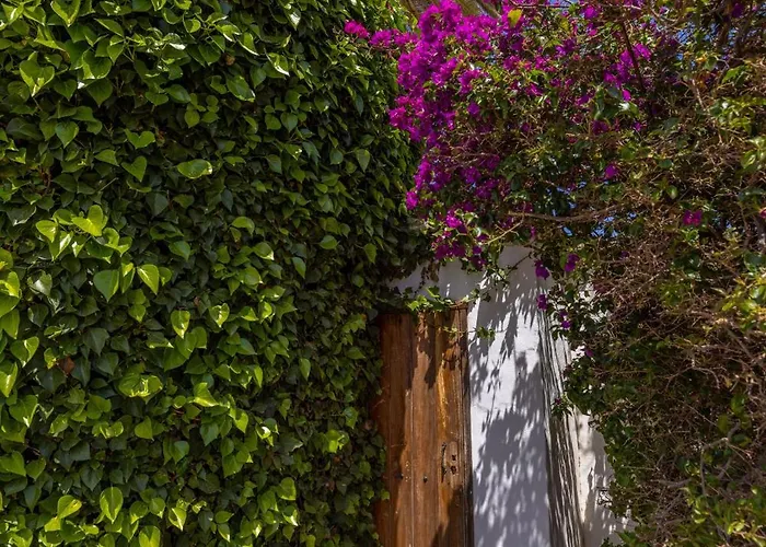 Casa El Barranco Feriehus Los Valles